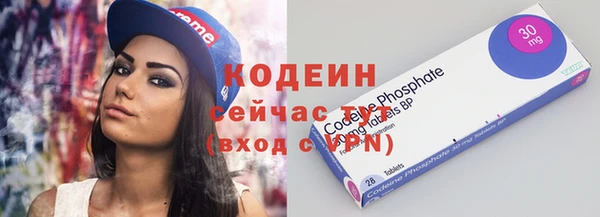 ешки Тавда