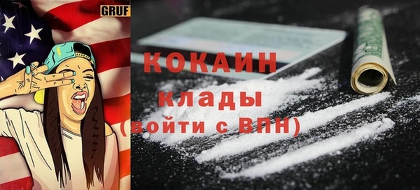 трава Сясьстрой