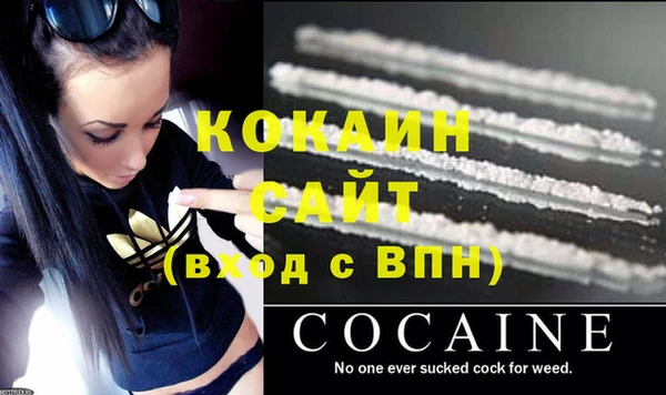 трава Сясьстрой