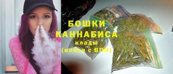 трава Сясьстрой