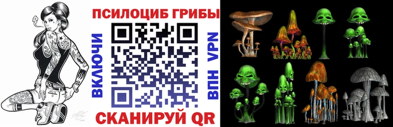 Псилоцибиновые грибы Psilocybine cubensis  Магнитогорск 