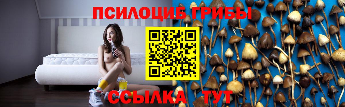 Псилоцибиновые грибы Psilocybine cubensis  что такое   Магнитогорск  Вход с VPN 